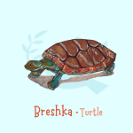Turtle sticker