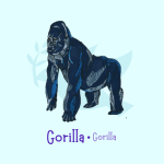 Gorilla sticker